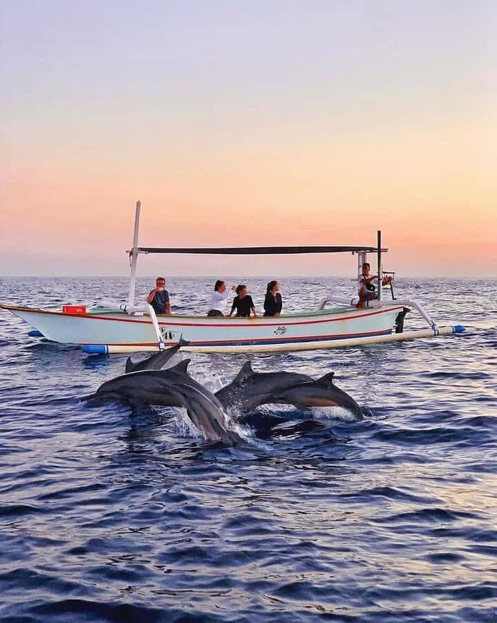 Bali: Dolphin Watching, Snorkeling, and Munduk Day Tour - Lovina Beach dolphins at sunrise: the moment you’ll remember