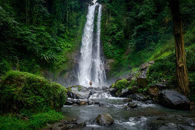Bali Dolphin Watching Sunrise Tour in Lovina Beach - Tamblingan and Buyan Lakes: Why Bedugul’s Views Matter