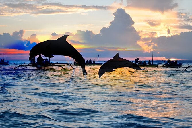 Bali Dolphin Watching Sunrise Tour in Lovina Beach - Pasar Candi Kuning Fruit Market: A Smart Way to End the Scenic Circuit