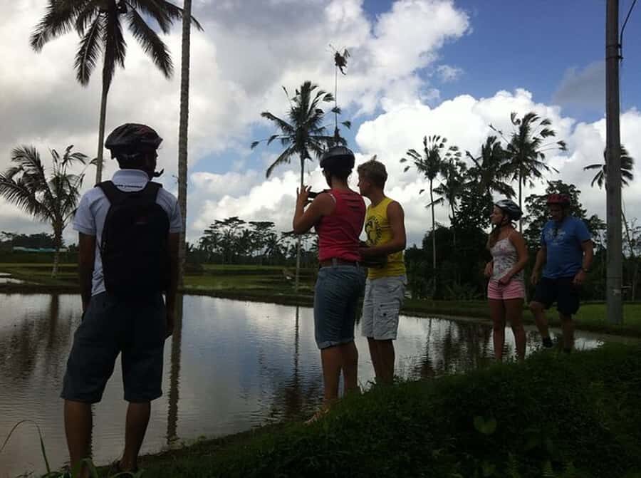 Bali Downhill Cultural Cycling Tour - Rice-field walk and the “why” behind the farming