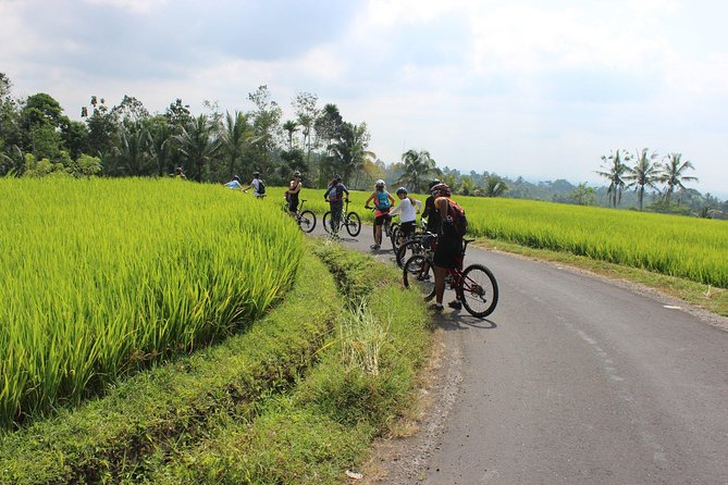 Bali Downhill Cycling and White Water Rafting - Landing in Ubud: lunch that breaks the day up nicely