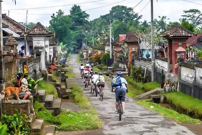 Bali Downhill Cycling and White Water Rafting - Downhill cycling through villages, rice paddies, temples