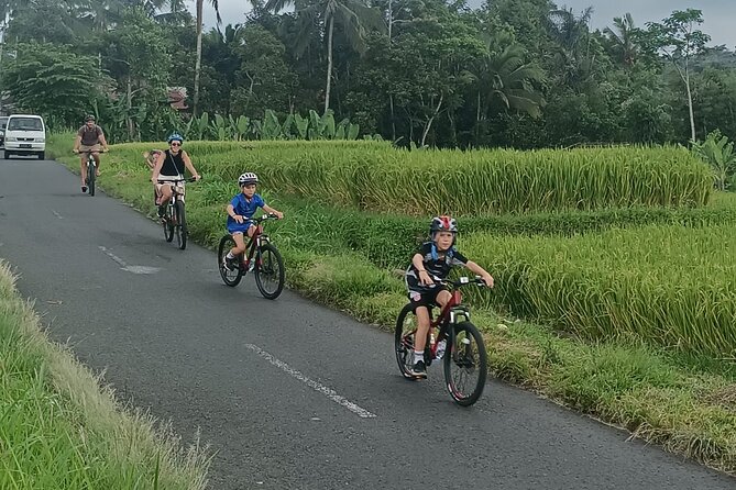 Bali Downhill Natural Cycling Tour & visit Volcano - Logistics You’ll Actually Care About