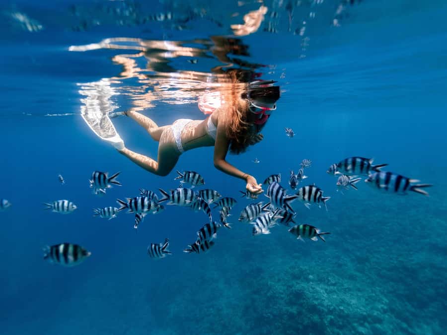 Bali: East Bali Hidden Gems. Exotic Beaches & Waterfalls. - East Bali’s best trio: snorkeling, a beach pause, then waterfall walking
