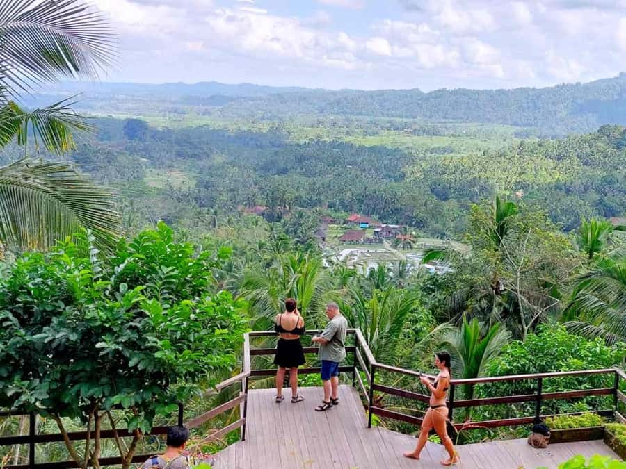 Bali: East Bali Hidden Gems. Exotic Beaches & Waterfalls. - Semarapura dinner and free time: add texture with a local-feeling stop