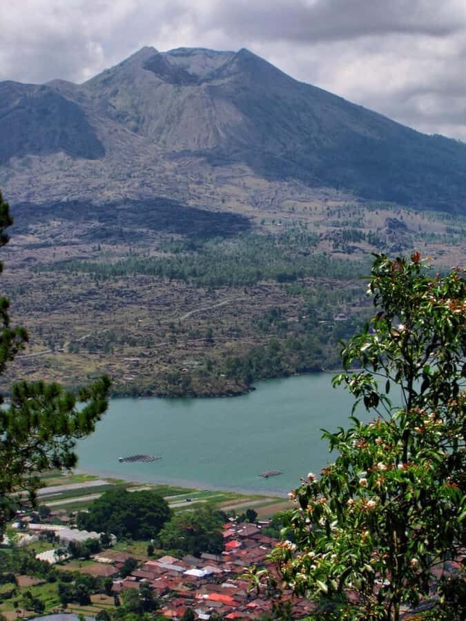 Bali : Eastern Bali and Pura Besakih Temple Tour - Bamboo Forest: a quieter pause before the holy sites