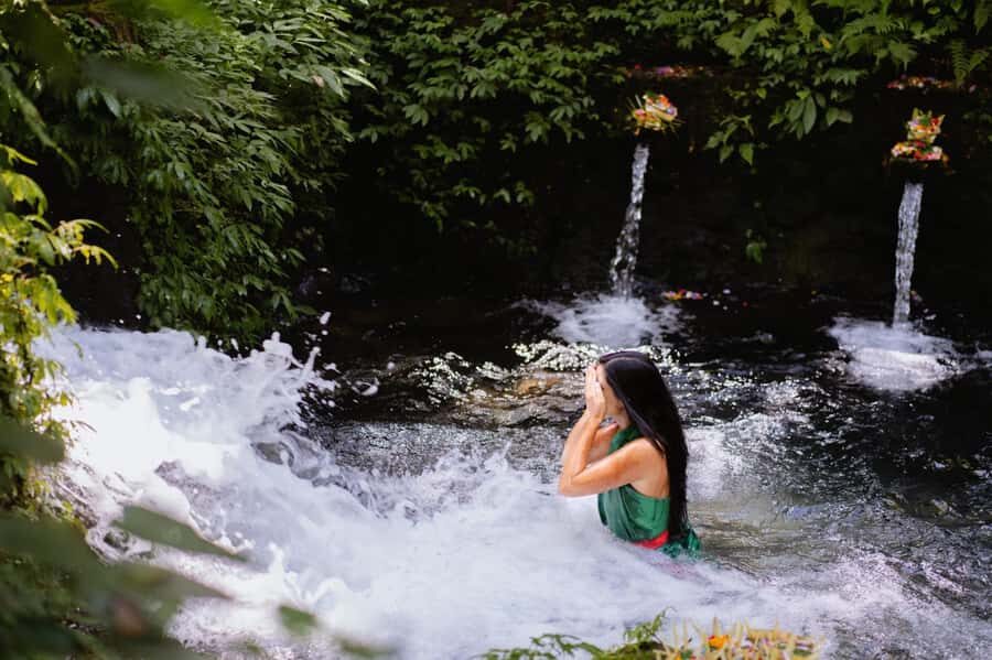 Bali Eat, Pray and Love Experience - Tegalalang Rice Terrace: iconic views, plus free time that helps