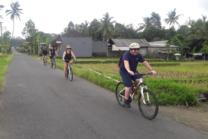 Bali Eco & Educational Cycling Tour - Food and breaks: breakfast, Balinese lunch, coffee, and snacks that keep you going