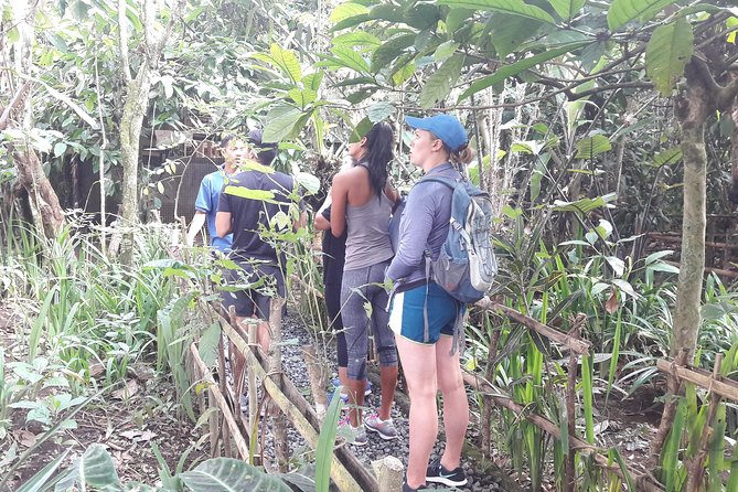 Bali Eco & Educational Cycling Tour - Safety and baby seats: what “family-friendly” looks like in real life