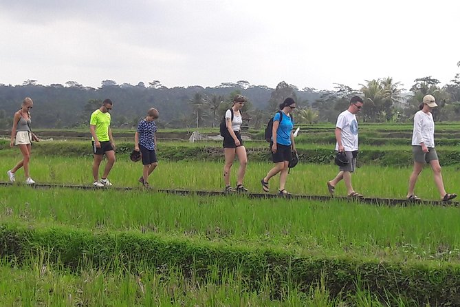 Bali Eco & Educational Cycling Tour - Who should book this cycling day in Bali