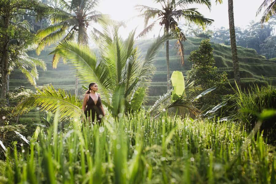 Bali : Explore Beauty of Ubud with 3 Best Tour Options - Key tour highlights worth caring about