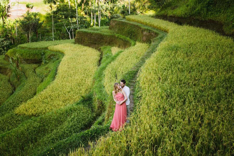Bali : Explore Beauty of Ubud with 3 Best Tour Options - Price and value: where $27 makes sense (and where it doesn’t)