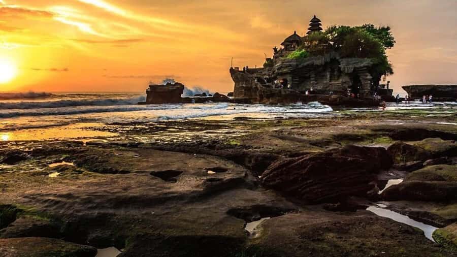 Bali : Explore Beauty of Ubud with 3 Best Tour Options - Who this Ubud tour fits best
