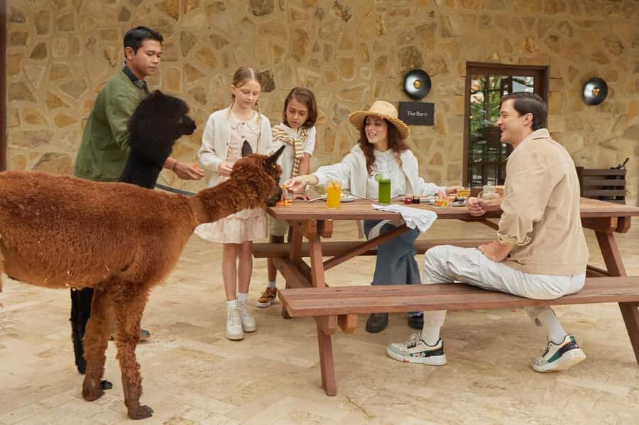 Bali: Farm House Experience with Entry Ticket & Options - Key highlights at a glance