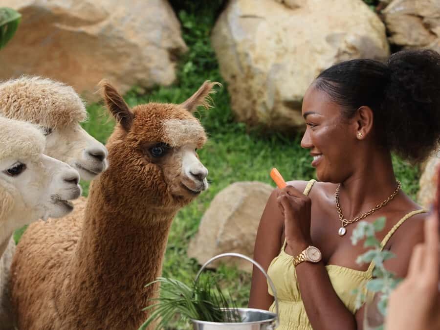 Bali: Farm House Experience with Entry Ticket & Options - Bali Farm House: what your entry ticket really buys