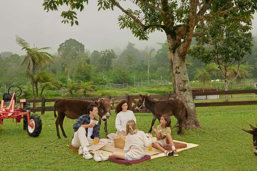 Bali: Farm House Experience with Entry Ticket & Options - Animal encounters: alpacas, donkeys, and keeper facts