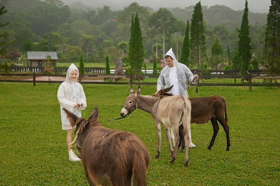 Bali: Farm House Experience with Entry Ticket & Options - Timing and getting there: open daily, pickup available from key areas