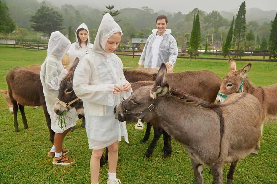 Bali: Farm House Experience with Entry Ticket & Options - Walking the grounds: gardens, animals, and photo-friendly moments
