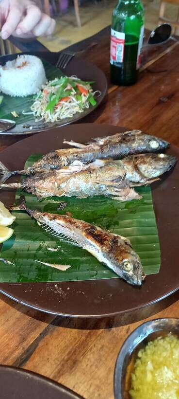 Bali : Fishing Trip & Blue lagoon Snorkeling : All Inclusive - Coral Fishing From Candidasa or Padang Bai: What It’s Like and How to Think About Your Catch