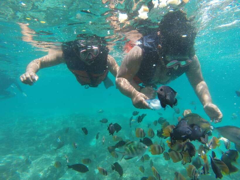 Bali : Fishing Trip & Blue lagoon Snorkeling : All Inclusive - Price and Value: Is $70 a Fair Deal?