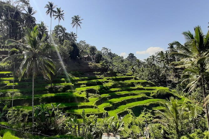 Bali Fishing Trip Private Boat - Who this Bali fishing trip fits best (and who should skip it)