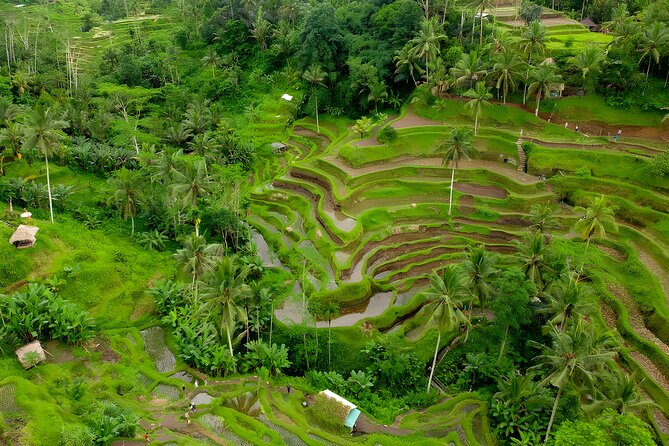Bali Full-Day Car Charter: All About Ubud Village Trip Experience - Stop 3: Goa Gajah (Elephant Cave) for Carvings and Courtyard Calm