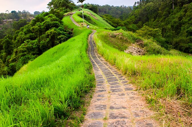Bali Full-Day Car Charter: All About Ubud Village Trip Experience - Stop 4: Sacred Monkey Forest Sanctuary and the Art of Not Upsetting Macaques