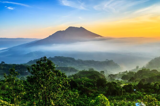 Bali Full-Day Car Charter: Ubud and Kintamani Volcano Tour - Getting rolling: pickup timing, driving style, and the “full day” rhythm