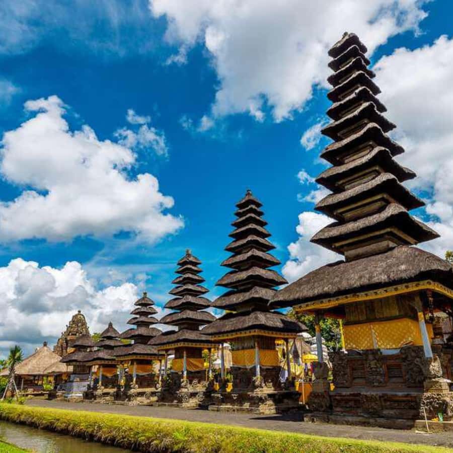 Bali : Full Day Denpasar City Tour - A Smooth 10-Hour Private Ride Through Denpasar