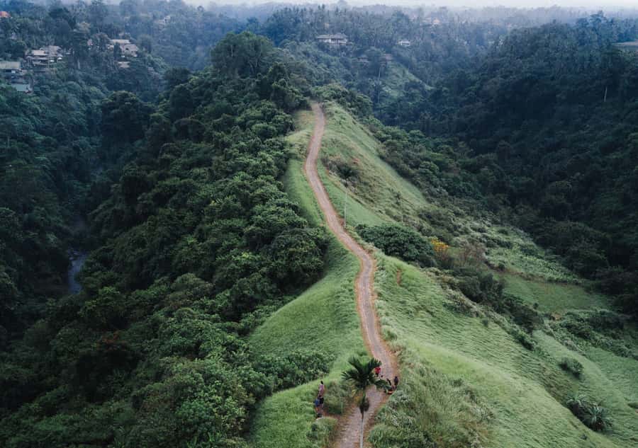Bali: Full-Day Eat Pray Love Tour with Rice Terraces & Yoga - Guides make the difference: what you’ll notice first