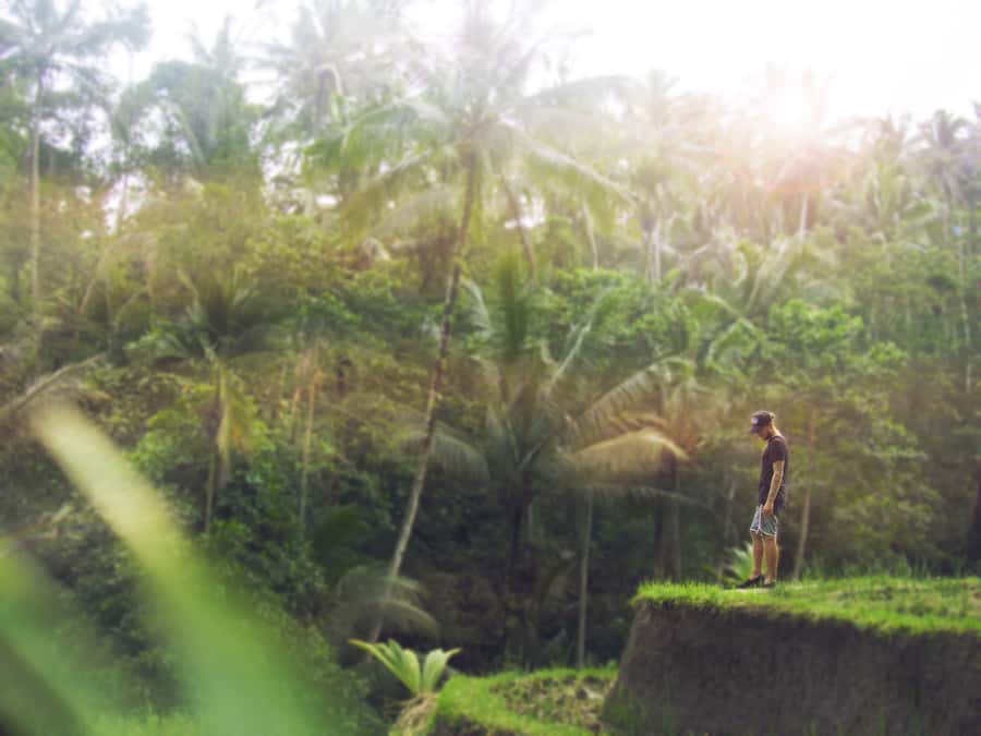 Bali: Full-Day Eat Pray Love Tour with Rice Terraces & Yoga - Ubud yoga at Intuitive Flow: what you’re really signing up for