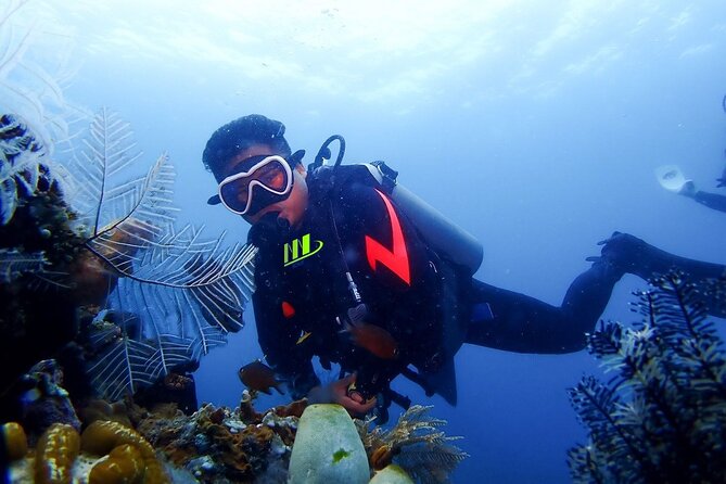Bali Full Day Experience Scuba Diving Tour at Tulamben - Key highlights you’ll care about