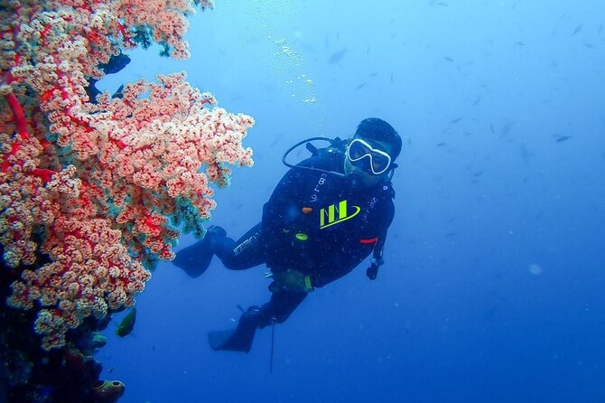 Bali Full Day Experience Scuba Diving Tour at Tulamben - Why Tulamben works better than Bali’s south coast