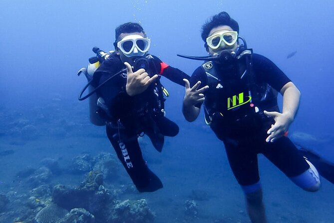 Bali Full Day Experience Scuba Diving Tour at Tulamben - Underwater session one: coral garden or wall coral