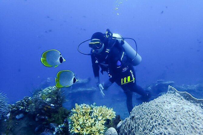 Bali Full Day Experience Scuba Diving Tour at Tulamben - Underwater session two: the USAT Liberty wreck