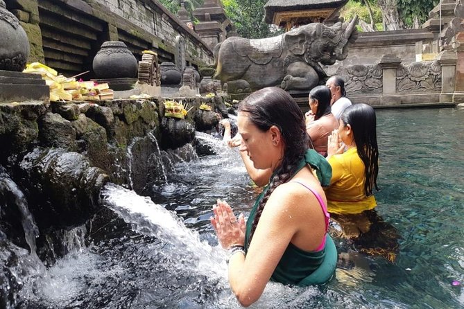 Bali Full Day Holy Water Tour - Bali Holy Water and Waterfall Time: the big picture