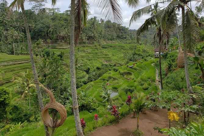 Bali Full Day Holy Water Tour - Stop 4: Celuk Village—watch silver and gold jewelry work