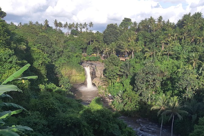 Bali Full Day Holy Water Tour - Stop 6: Kintamani and Mt. Batur—lunch-time views with big volcano energy
