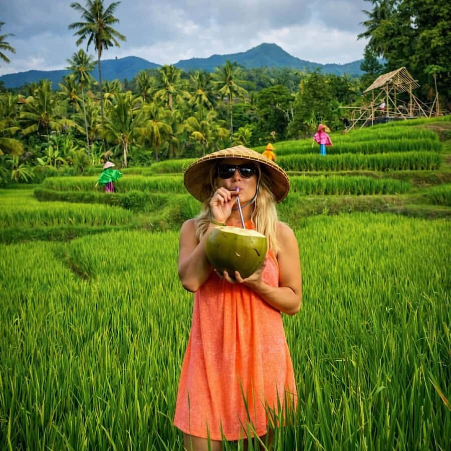 Bali: Full Day North Bali Private Customized Tour - Private driver-guide with English: flexibility that saves your nerves