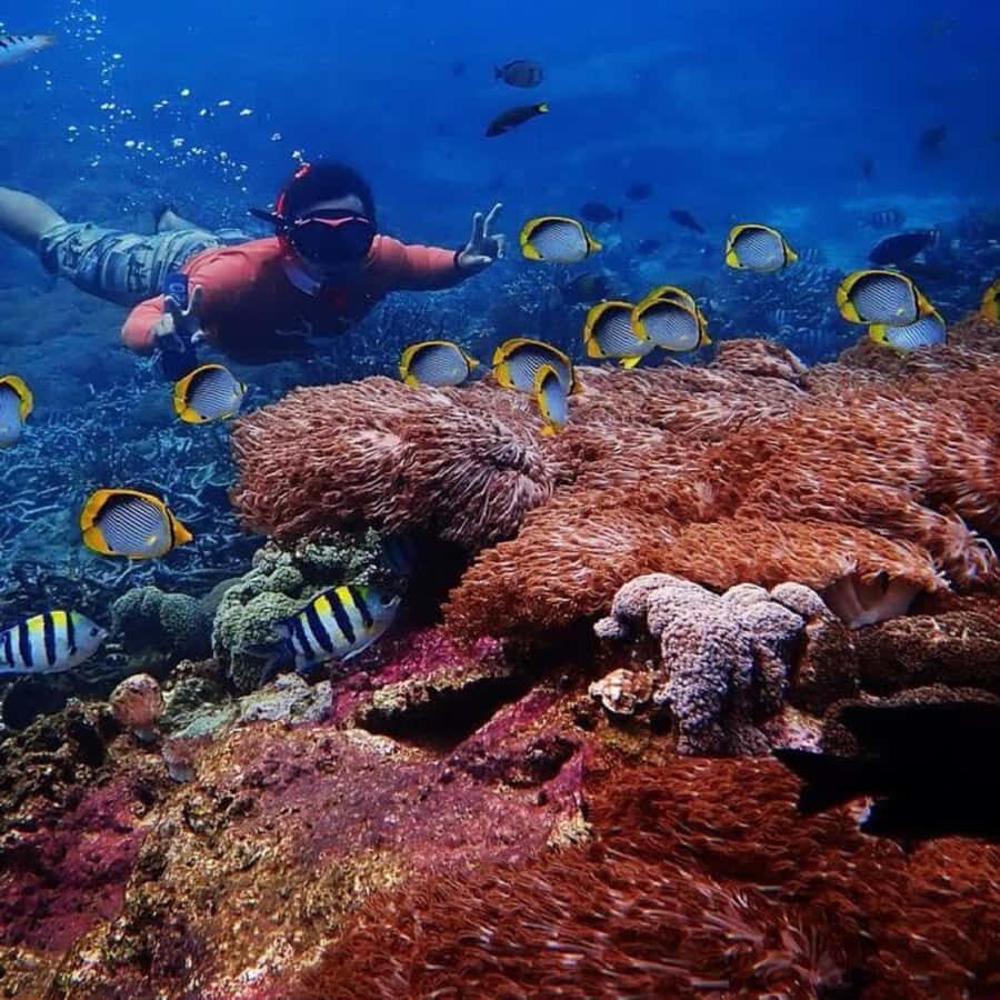 Bali : Full Day Nusa Lembongan - Snorkeling Tour - Price and Value: Why $92 Can Be a Good Deal (and When It Isn’t)