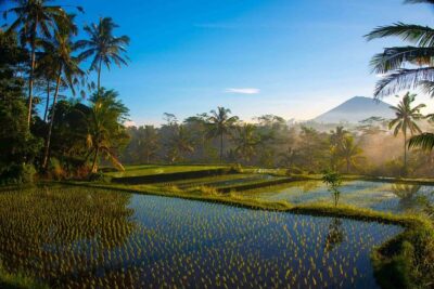 Bali Full Day Photography Tour - Tirta Empul Temple: Purification Scenes With Photo-Respect