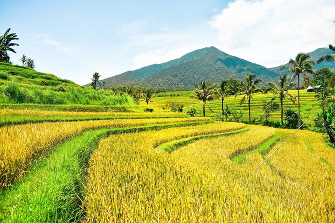 Bali Full-Day Private Customize Tour - Why this Seminyak private day feels like your Bali