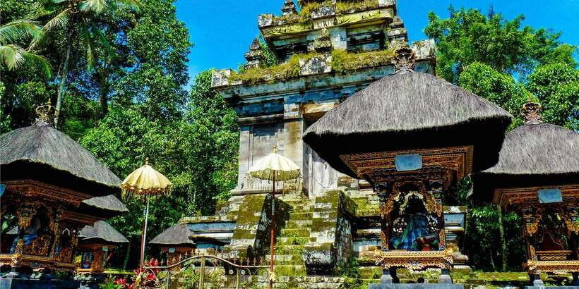 Bali: Full-Day Private Water Temple Ritual & Yoga Class - Healing yoga and meditation with Jero Priestess Luh Manis