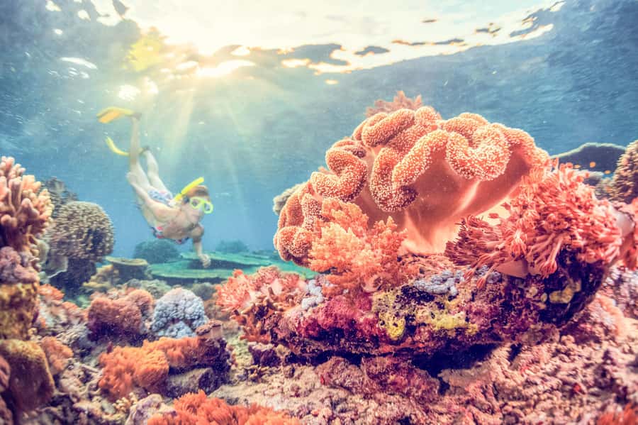 Bali: Full-Day Snorkeling Trip to Nusa Penida & Manta Point - Why Nusa Penida’s Snorkeling Feels Different Than the Usual Bali Reef Stop