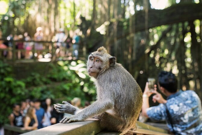 Bali Full-Day The Gate of Heaven Tour by VW Safari Classic Car - Virgin Beach: a calmer coast break in East Bali