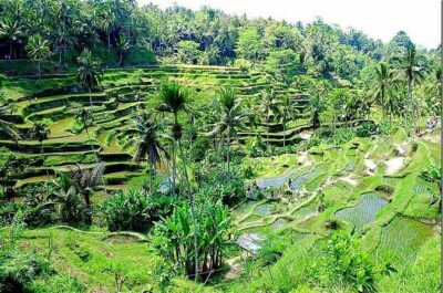 Bali Full Day Tour - East Bali tour (Kertha Gosa, Goa Lawah, Tenganan, Tirta Gangga, Lempuyang)
