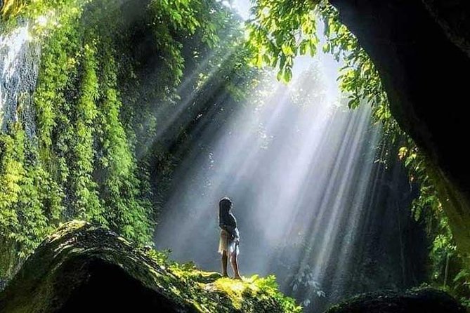 Bali Full Day Tour - East Bali Instagram Tour - Price and Logistics: Is $100 Worth It From Kuta?