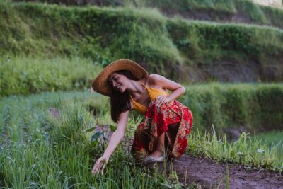 Bali Full Day Tour: Highlights of Ubud and Hidden Waterfall - Sacred Monkey Forest Sanctuary: macaques plus your one-hour reality check