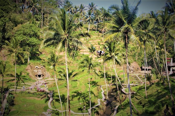 Bali Full Day Tour | Individual Route in Bali | Bali Guide | Free Wi-Fi - Morning picks: Monkey Forest, rice terraces, and Tirta Empul’s holy spring
