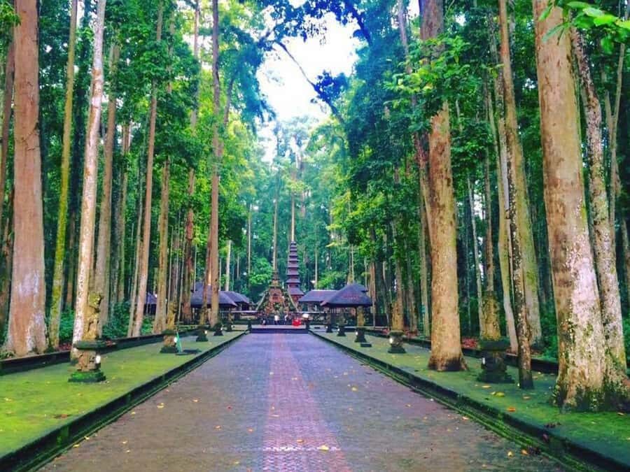Bali: Full-Day Tour of Nungnung Waterfall, Tanah Lot Tample - Sangeh Monkey Forest: sacred macaques, temples, and clear rules